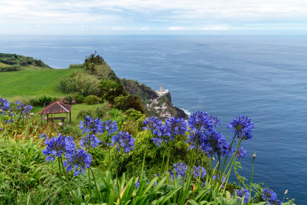 istock Exotic flowering plant in the Azores 1160809355
