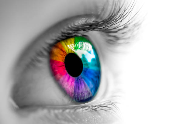 auge mit regenbogenfarben - painted eyes stock-fotos und bilder