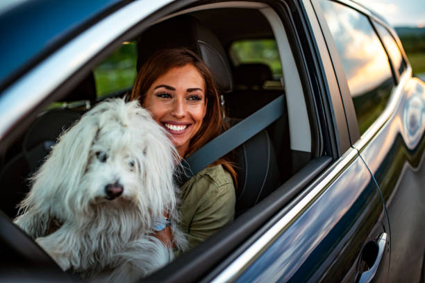 istock Woman's best friend too! 1160810558
