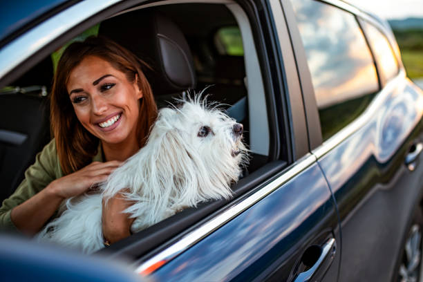 istock We always travel together 1160810559