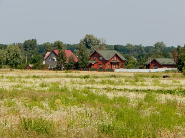 The spacious house was drowned in flowering vegetation, daisies surrounded the building.