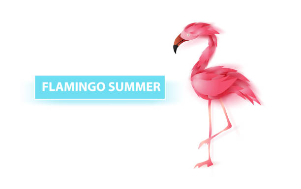istock Summer banner with flamingo on white background,Minimal simple design for poster, flyer, invitation, card, web site or application smartphone. Creative design Paper cut style,vector illustration EPS10 1160812344