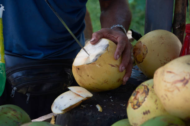 istock Man opening a Coco in Tortuguero 1160814960