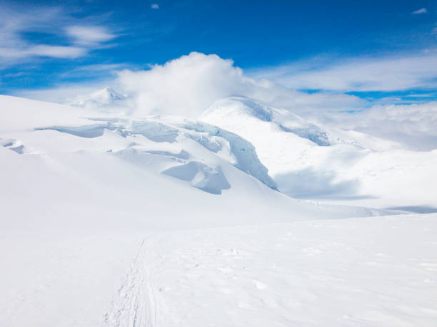 istock Landscape at Denali National Park 1160817599