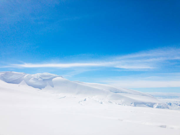 istock Snow landscape at Denali National Park 1160818189