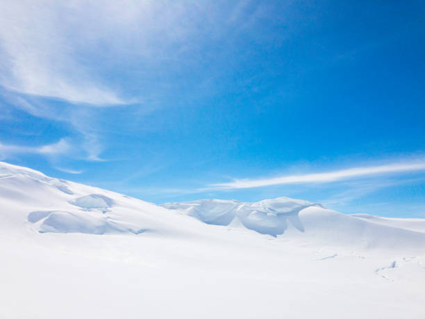 Snow landscape at Denali National Park