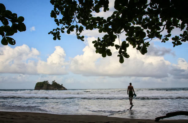 istock Pura Vida - This is beautiful Costa Rica 1160819632