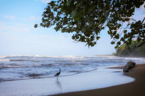 A little insight into the wonderful country in Central America