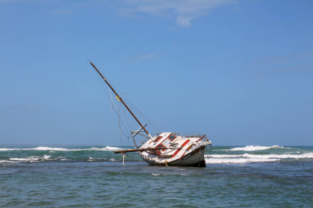 istock Pura Vida - This is beautiful Costa Rica 1160821379