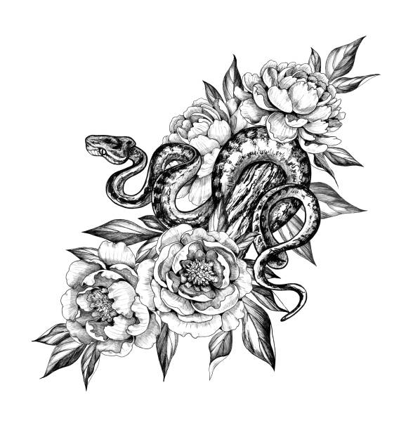 Creeping Garden Tree Boa on trunk and peonies Hand drawn creeping Garden Tree Boa on trunk and peonies isolated on white background. Pencil drawing monochrome Python snake with flowers. Floral illustration in vintage style, t-shirt design, tattoo art. gothic art stock illustrations