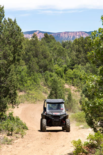 vehículo side by side utility conduciendo por senderos de tierra en utah - off road vehicle quadbike desert dirt road fotografías e imágenes de stock