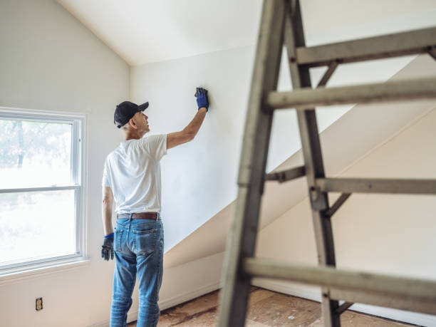istock Senior man painting apartment interior 1160824051