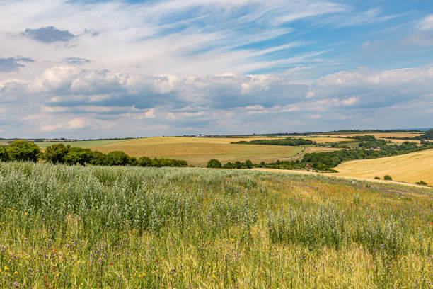 istock An Idyllic Sussex Landscape 1160825205