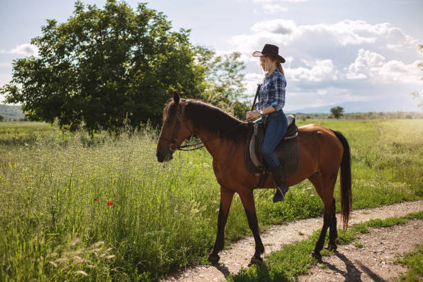cowgirl che si gode un giro su un cavallo nella natura - shirt checked women wild west foto e immagini stock