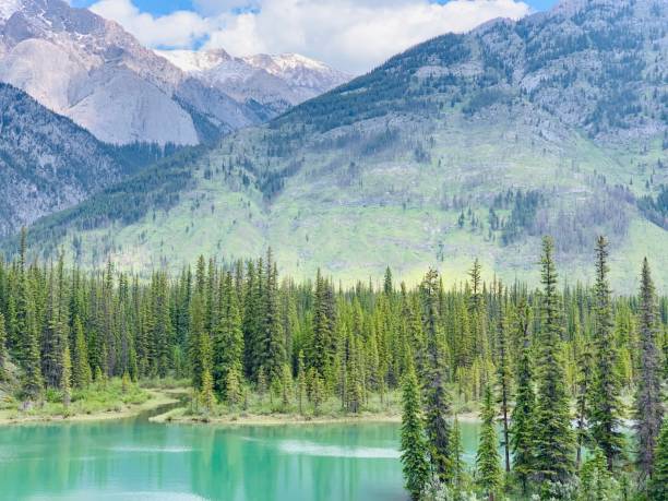 istock Canadian Lake with Mountains and Pine Trees 1160826907
