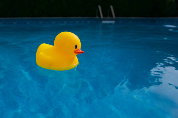istock Yellow rubber ducky floating on water 1160826939