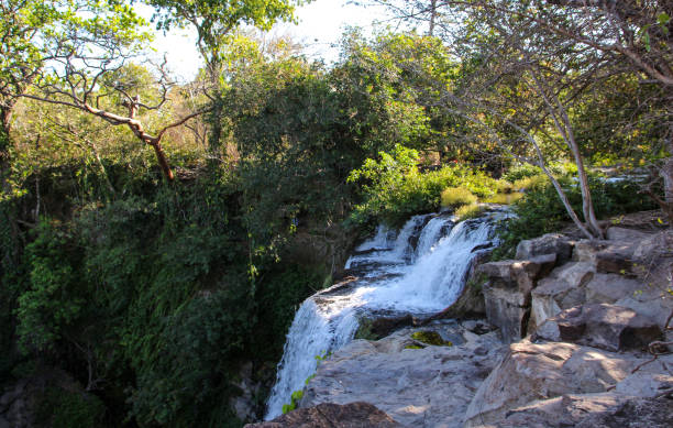 istock Pura Vida - This is beautiful Costa Rica 1160829598