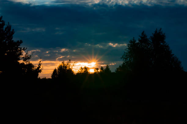 istock Pink sunset on the forest horizon 1160830633