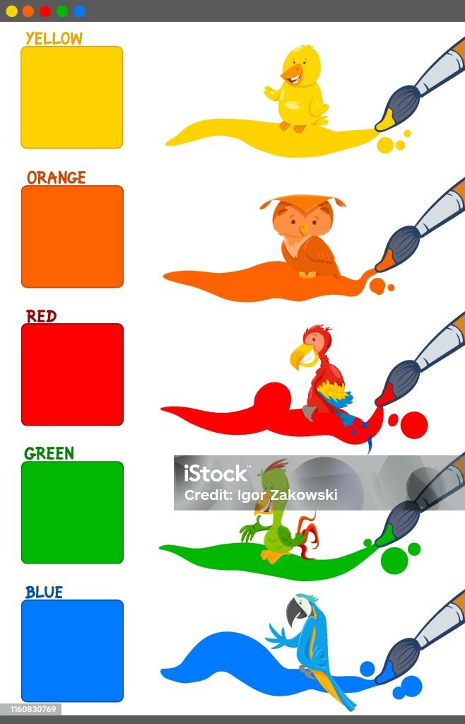 Basic Cartoon Colours Basic Colors Set With Cartoon Birds Stock Illustration - Download Image ...