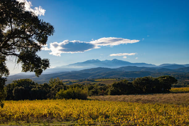 istock The peak of Canigou 1160831028