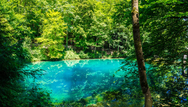 Germany, XXL nature landscape panorama of blue waters of natural spring, called blautopf (blue pot) in blaubeuren in swabian jura, a popular tourist destination Germany, XXL nature landscape panorama of blue waters of natural spring, called blautopf (blue pot) in blaubeuren in swabian jura, a popular tourist destination ulm germany stock pictures, royalty-free photos & images