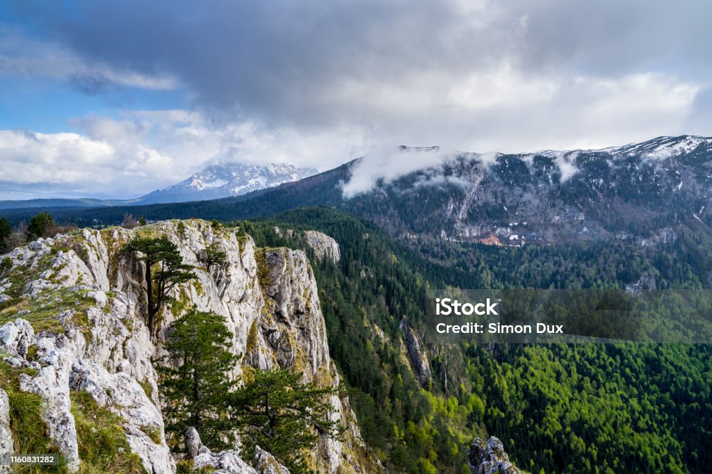 Montenegro, Mountain top of mount curevac with cloudy sky at dawn in forest land of durmitor national park highlands nature landscape near zabljak Alpine climate Stock Photo