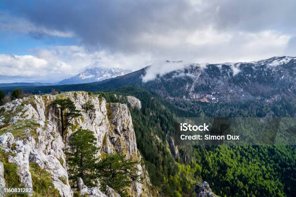 Montenegro Mountain Top Of Mount Curevac With Cloudy Sky At Dawn In Forest Land Of Durmitor National Park Highlands Nature Landscape Near Zabljak Stock Photo - Download Image Now