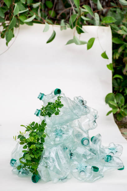 greens wraps and grows on empty plastic bottles. sort garbage. ecosystem recovery - tailings container environment pollution imagens e fotografias de stock