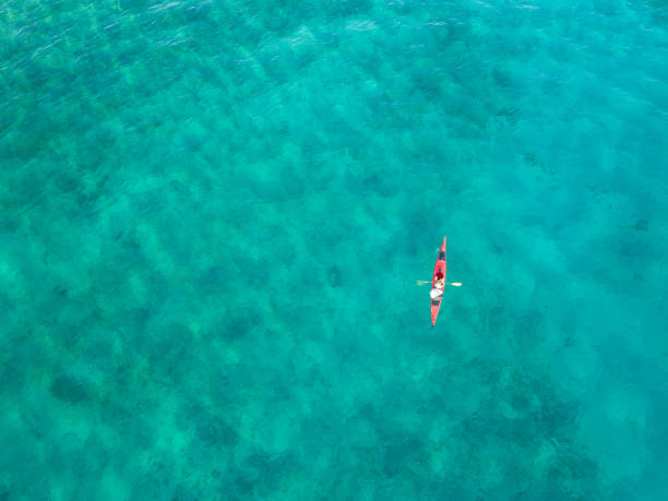 femme pagayant un kayak d'en haut - kayaking kayak sea coastline photos et images de collection