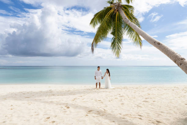 istock Newlyweds hold hands under a palm tree on a gorgeous beach with white sand and turquoise water. 1160835111