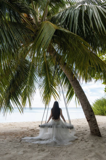 istock A bride in a white dress is riding on a swing under a big palm tree. 1160835252