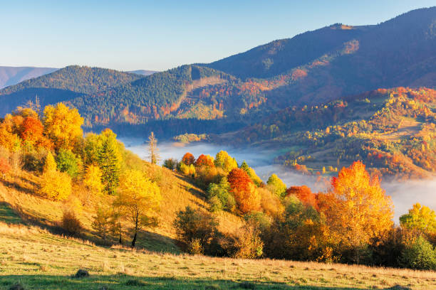 istock countryside in mountains in the morning 1160835835