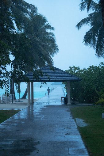On the island began the season of tropical rains. Island in the Maldives.