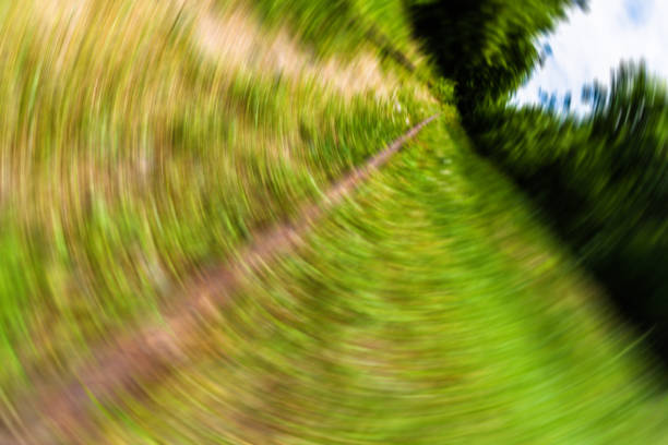 istock rusty rails and wooden sleepers in green grass 1160836859