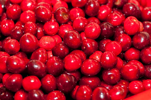istock Close up of cherries 1160839964