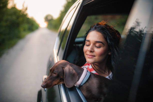 istock Beautiful woman with dog 1160841110