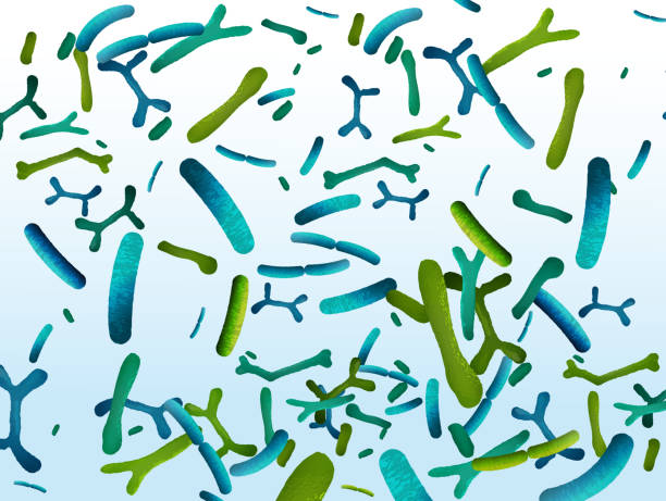 プロバイオティクスとプレバイオティクスの背景 - bacterial colonies点のイラスト素材／クリップアート素材／マンガ素材／アイコン素材