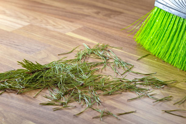 istock Crumbled needles from the Christmas tree on the floor 1160844392