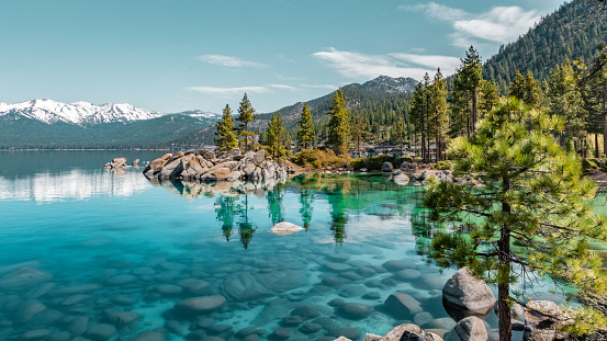 Clear blue Lake Tahoe water with pine trees and snowy mountains