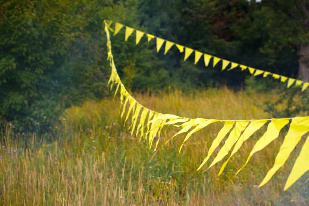 A triangular yellow flags decoration stretched across a grassy meadow near the forest