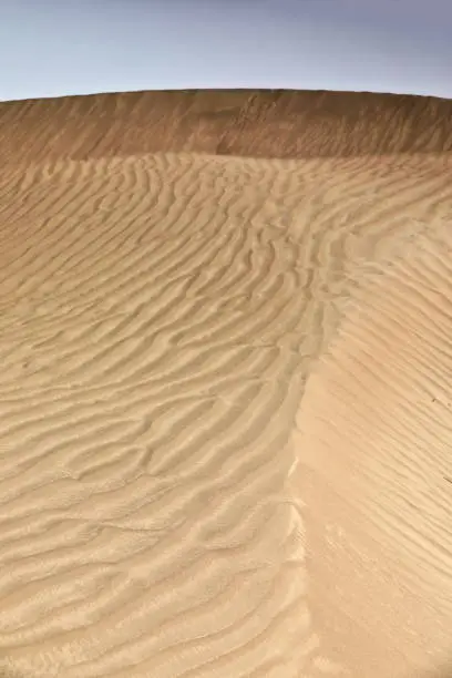 Moving sand dunes cover the surface of the Taklamakan Desert forming chains of these eolian topographic forms-some of them reaching up to 300 ms.high. Yutian Keriya county-Xinjiang Uyghur region-China