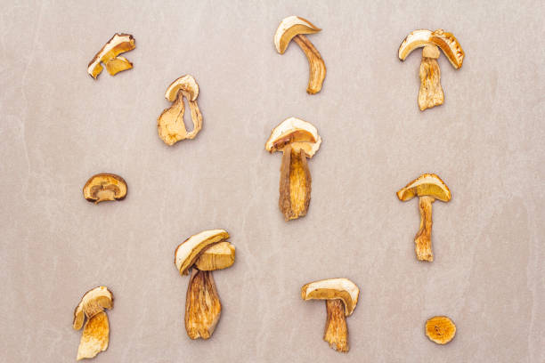 istock Dried mushrooms boletus edulis (penny bun, cep, porcino) 1160852190
