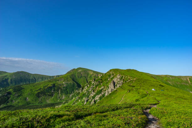 istock Path in the Carpathian mountains in summer 1160854933