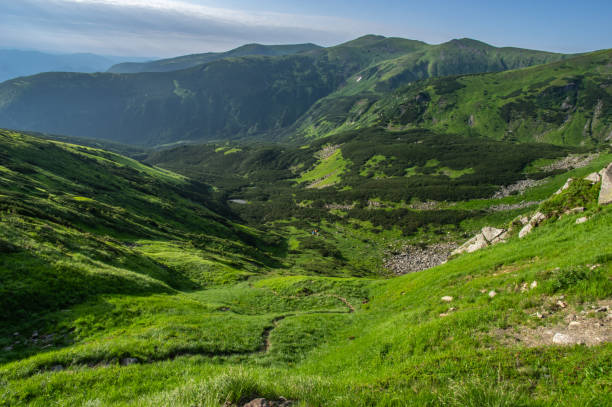 istock Path in the Carpathian mountains in summer 1160855658