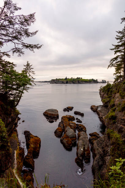 istock Cape Flattery and the PNW 1160856648