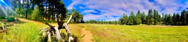 istock hiking on the trail 1160864079