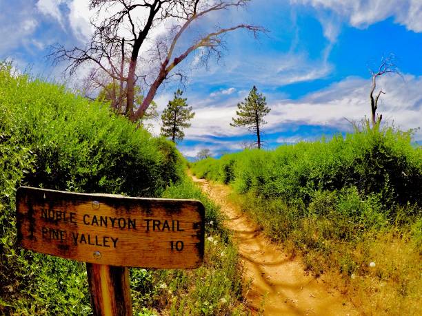 istock hiking on the trail 1160864097