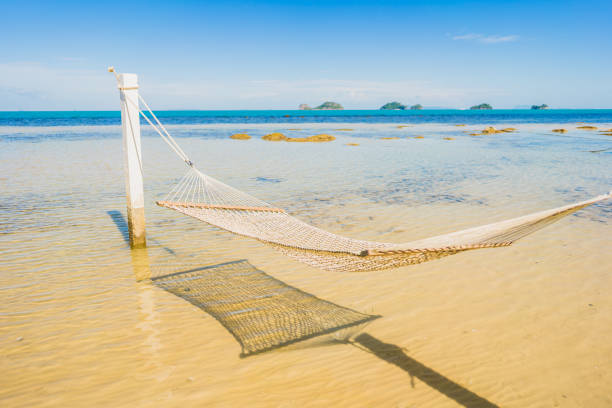 istock Beautiful empty hammock around tropical beach sea ocean for holiday vacation 1160867187