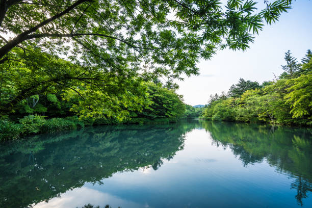 軽井沢の桑部池 - 湧水 ストックフォトと画像