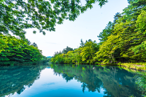 Karuizawa, Japan, Nagano Prefecture, Pond